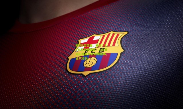 排列5走势图：祝好！38岁前巴西国脚、山东泰山旧将吉尔告别绿茵场，正式退役