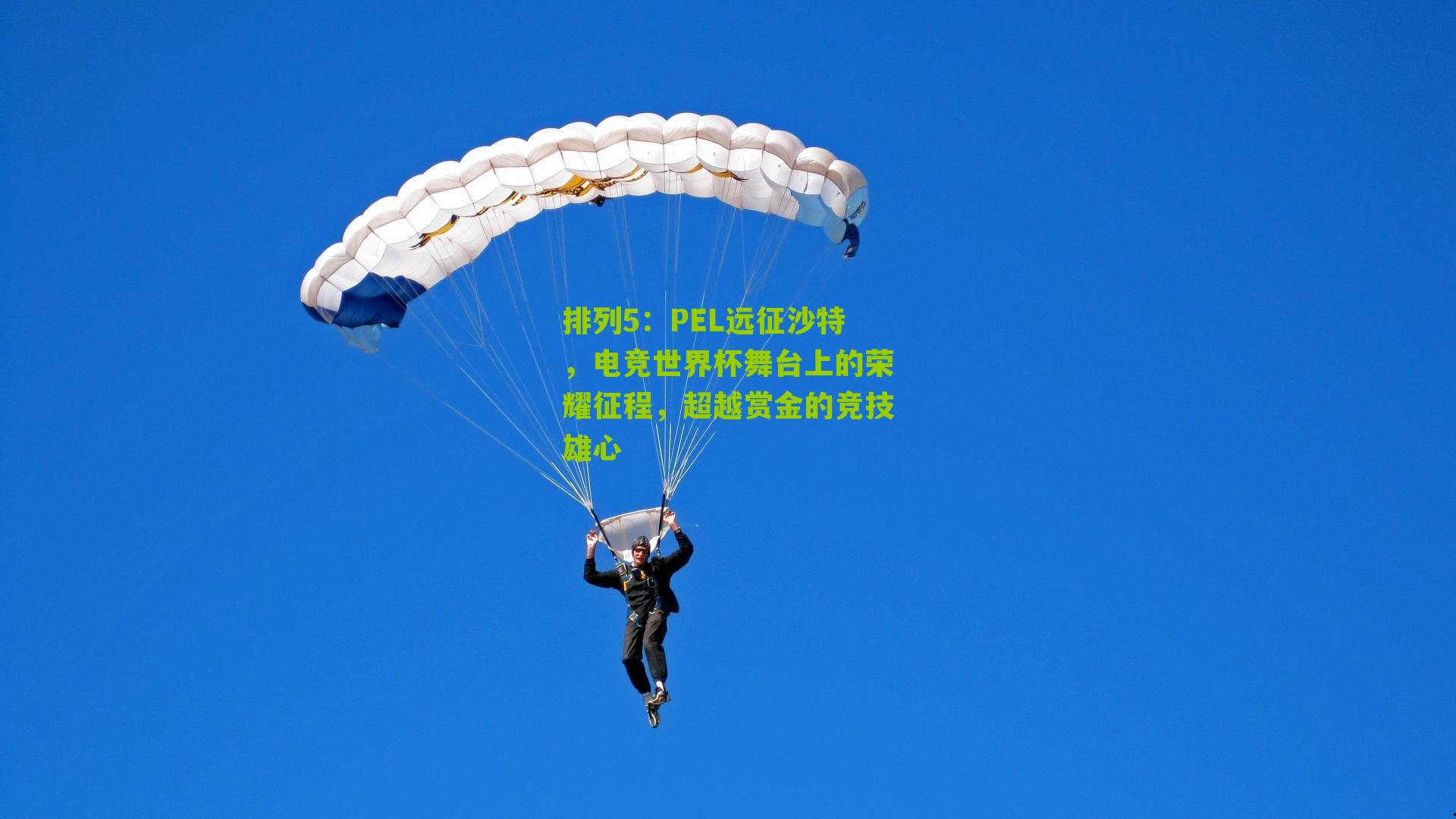 PEL远征沙特，电竞世界杯舞台上的荣耀征程，超越赏金的竞技雄心